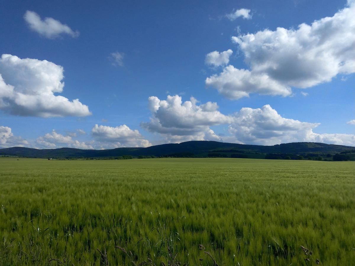 Hotel & Pension Assmann Hochkirch Экстерьер фото