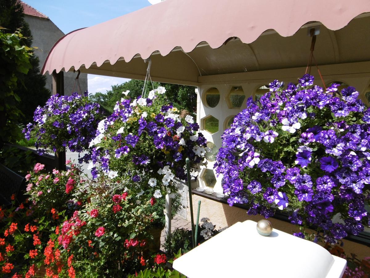 Hotel & Pension Assmann Hochkirch Экстерьер фото