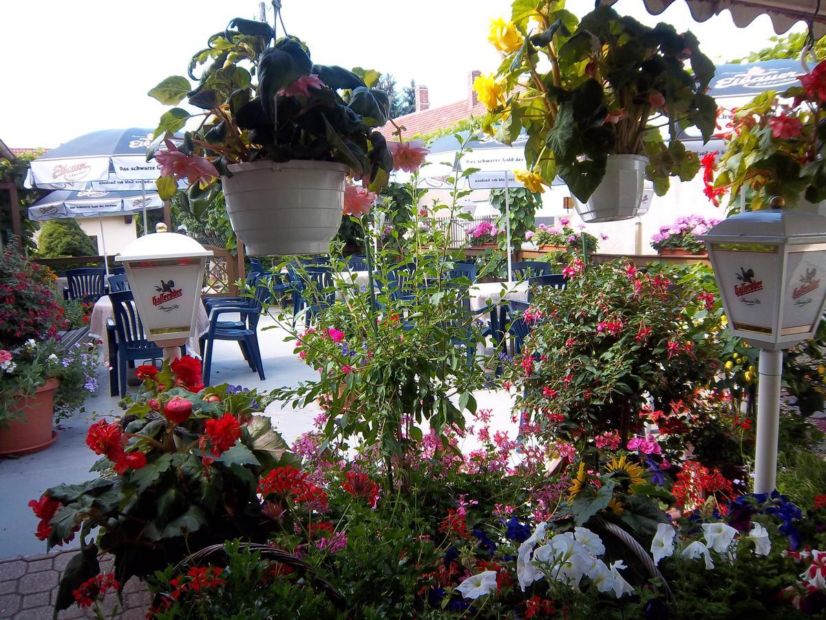 Hotel & Pension Assmann Hochkirch Экстерьер фото
